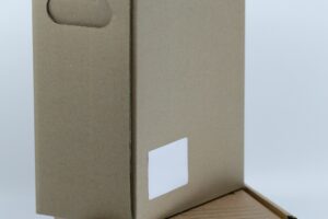 Dropship Internasional: Risiko, Strategi, dan Roadmap Awal